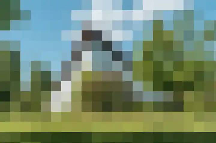 Lindenlaan 603 Amstelveen thumbnail 29
