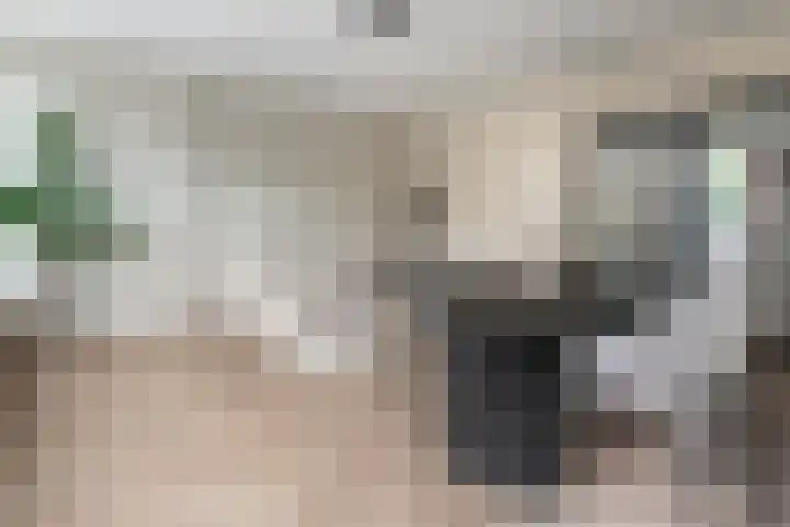 Lindenlaan 603 Amstelveen thumbnail 5