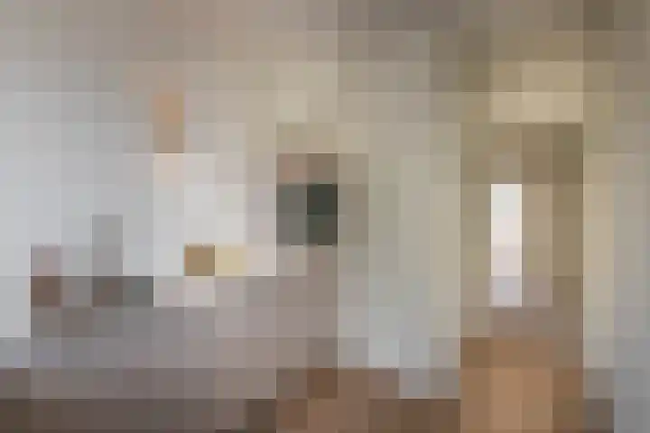 Lindenlaan 603 Amstelveen thumbnail 9