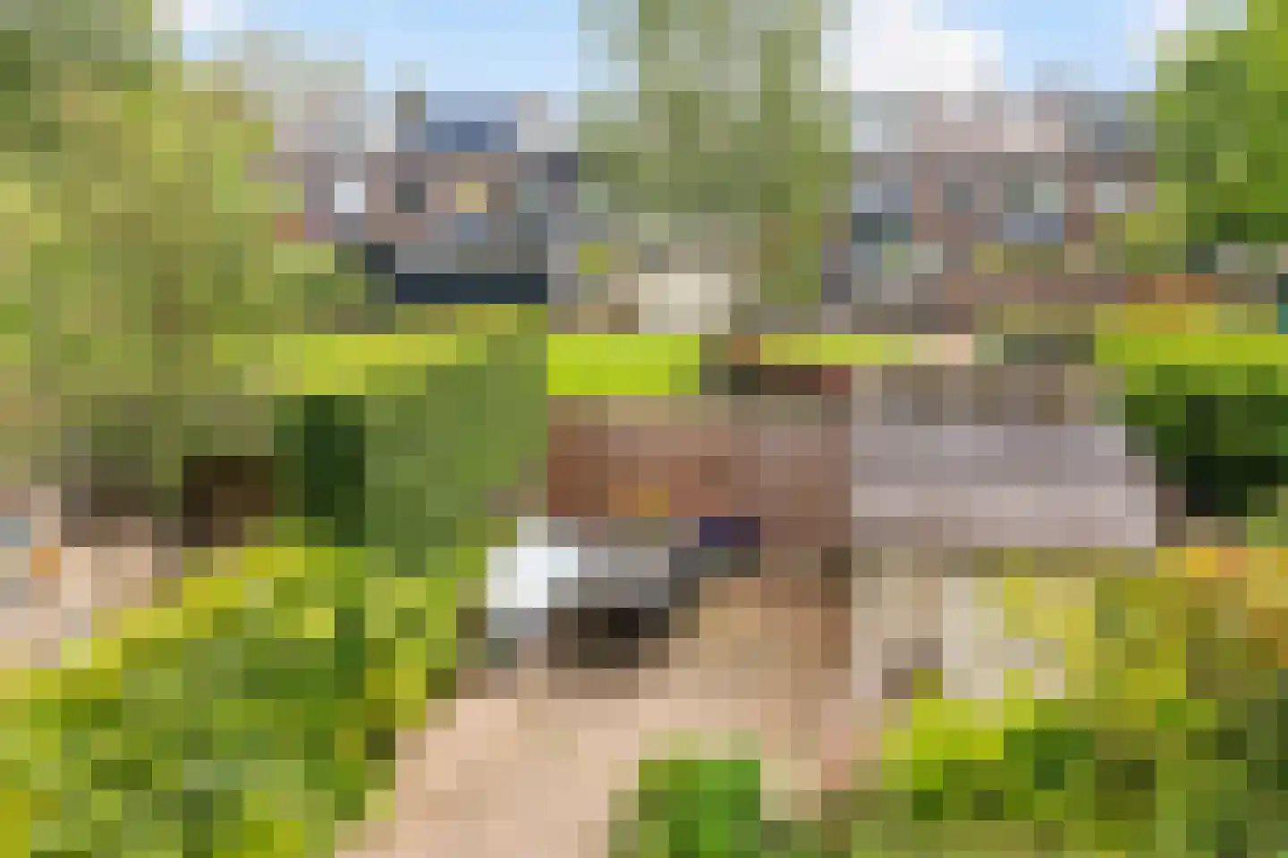Lindenlaan 637 Amstelveen thumbnail 18