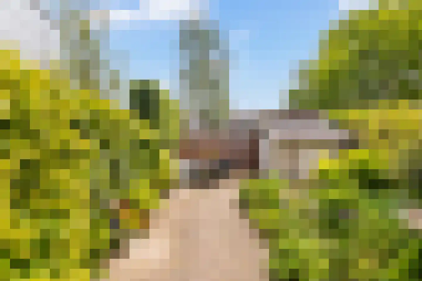Lindenlaan 637 Amstelveen thumbnail 33