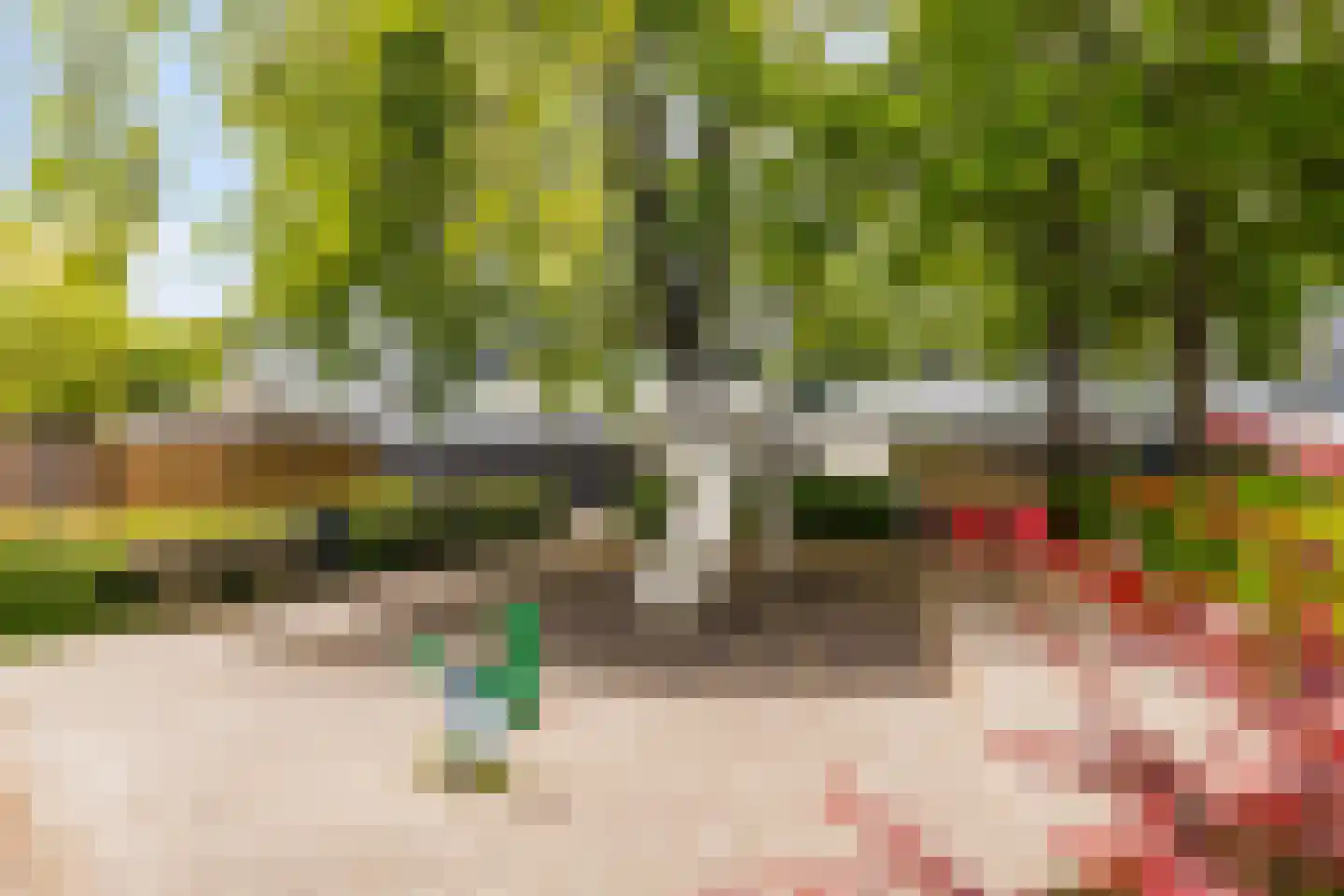 Lindenlaan 637 Amstelveen thumbnail 36