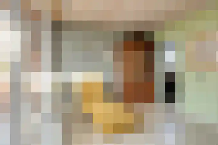 Lindenlaan 64 Bunde thumbnail 13