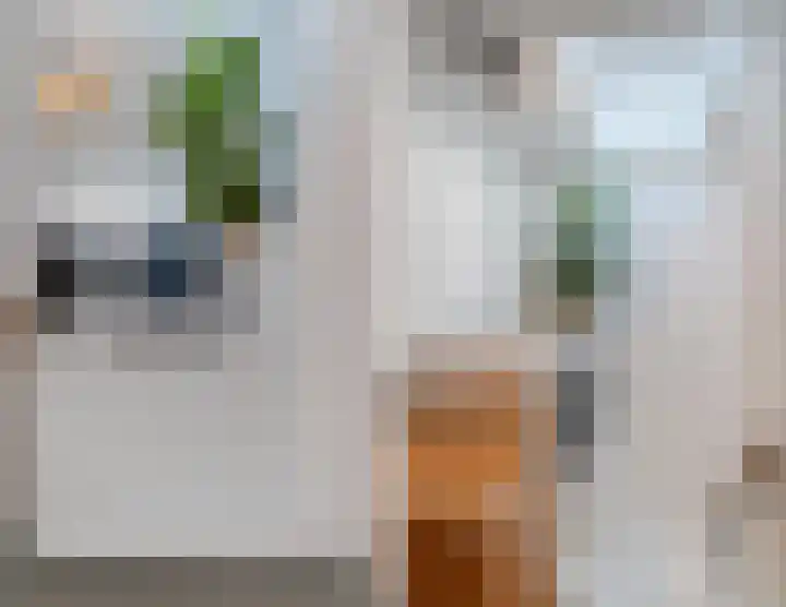 Lindenlaan 66 Alkmaar thumbnail 25