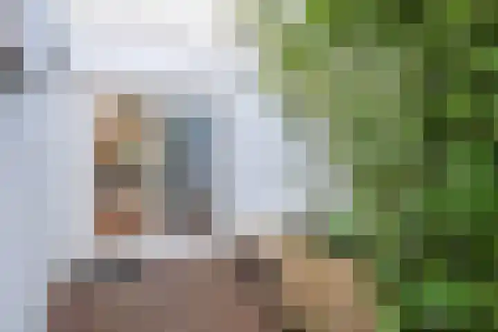 Lindenlaan 66 Alkmaar thumbnail 41