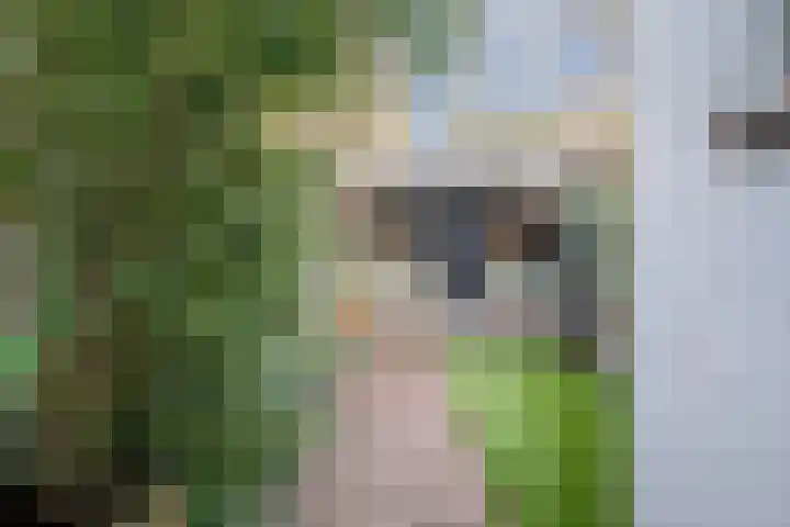 Lindenlaan 66 Alkmaar thumbnail 42