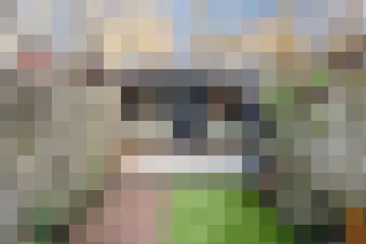 Lindenlaan 66 Alkmaar thumbnail 43