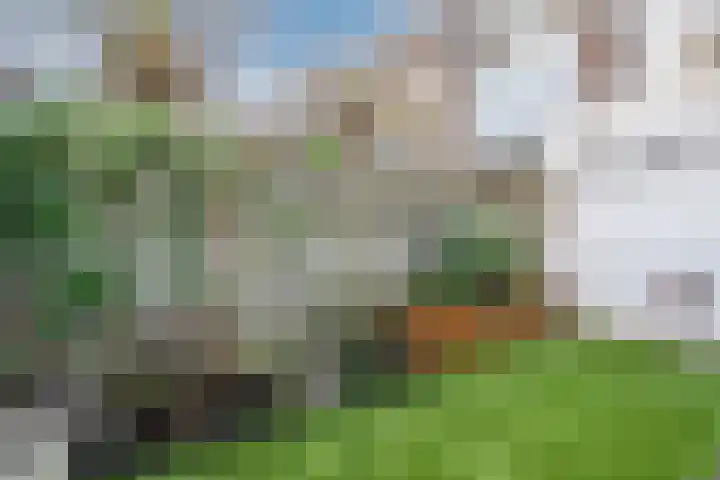 Lindenlaan 66 Alkmaar thumbnail 45