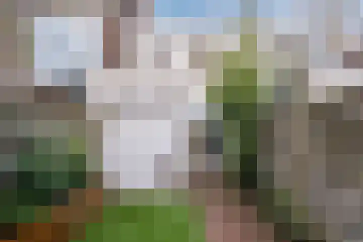 Lindenlaan 66 Alkmaar thumbnail 46