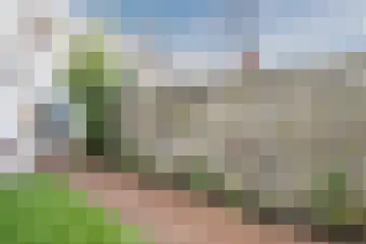 Lindenlaan 66 Alkmaar thumbnail 47