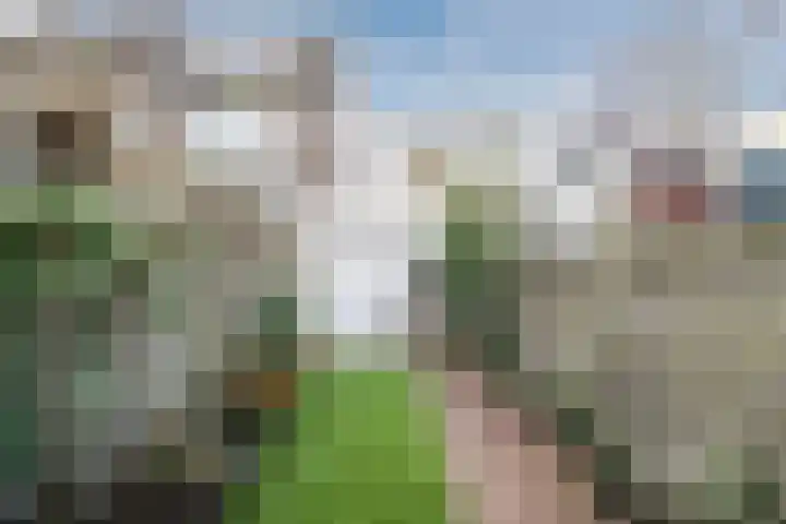 Lindenlaan 66 Alkmaar thumbnail 48
