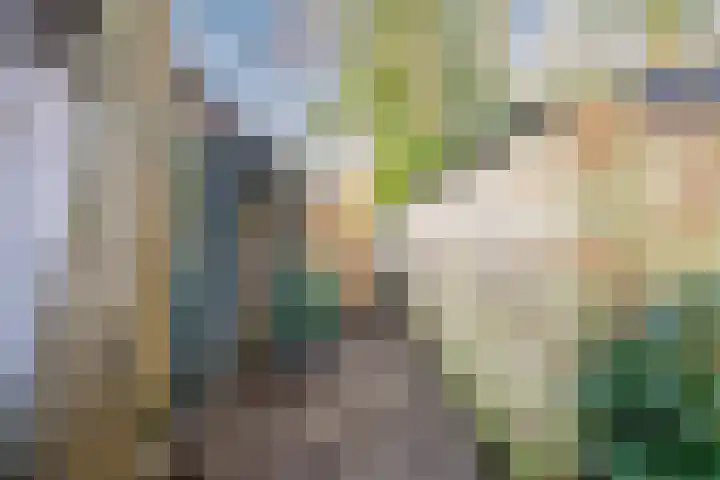 Lindenlaan 66 Alkmaar thumbnail 51