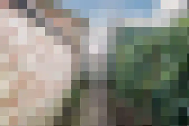 Lindenlaan 66 Alkmaar thumbnail 52