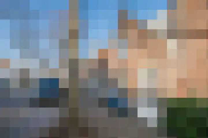 Lindenlaan 66 Alkmaar thumbnail 56