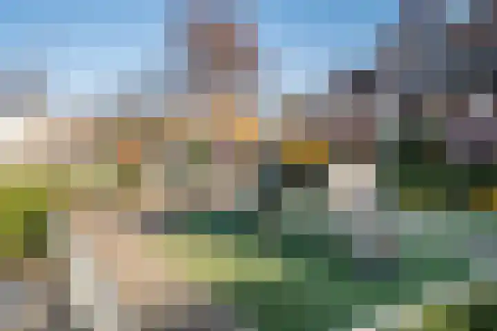 Lindenlaan 66 Alkmaar thumbnail 59