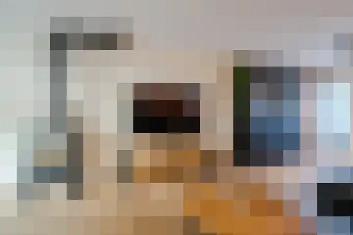 Lindenlaan 66 Alkmaar thumbnail 8