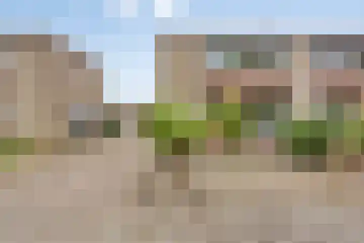 Lindenlaan 66 Bunde foto 2