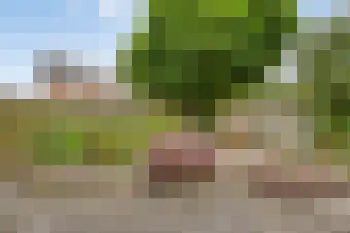 Lindenlaan 66 Bunde thumbnail 27