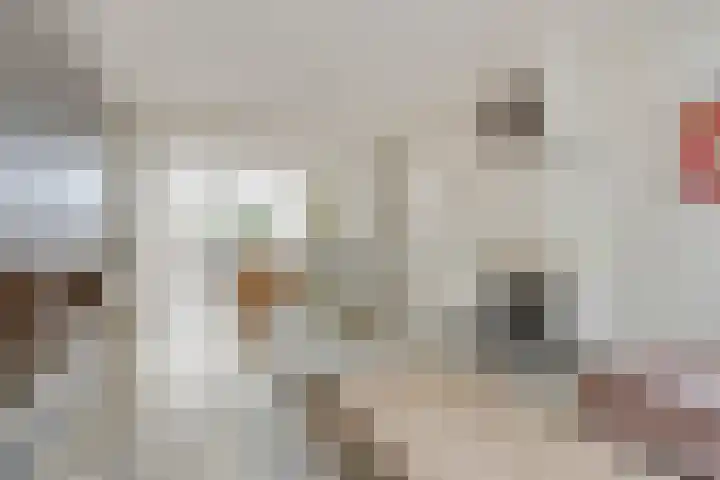 Lindenlaan 66 Bunde thumbnail 5