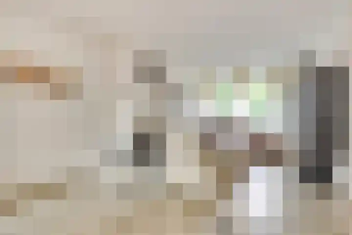 Lindenlaan 66 Bunde thumbnail 7