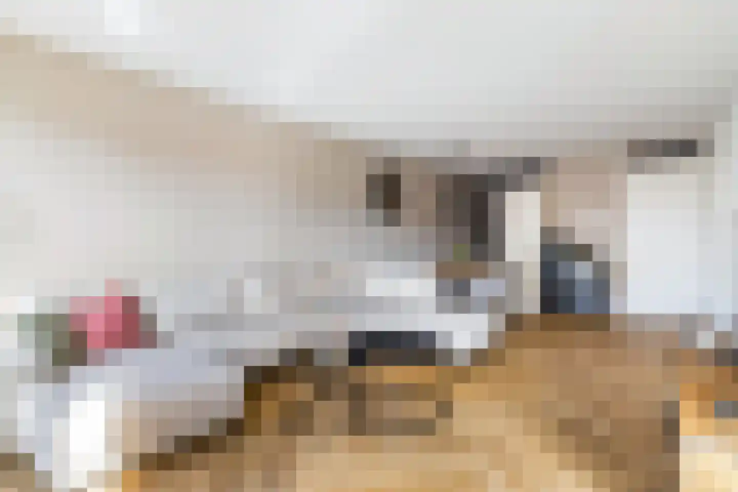 Lindenlaan 7 Woudenberg thumbnail 18