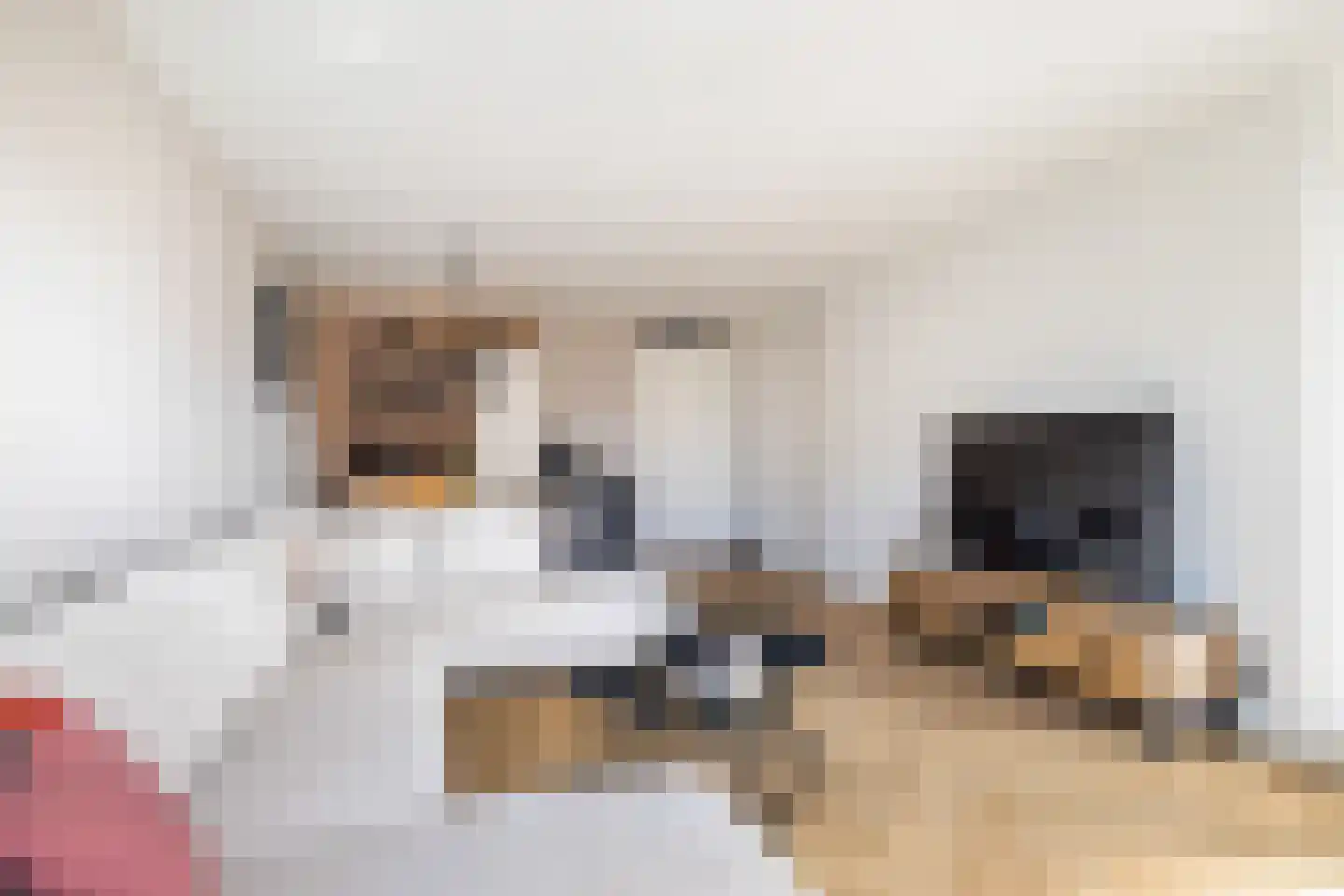 Lindenlaan 7 Woudenberg thumbnail 20