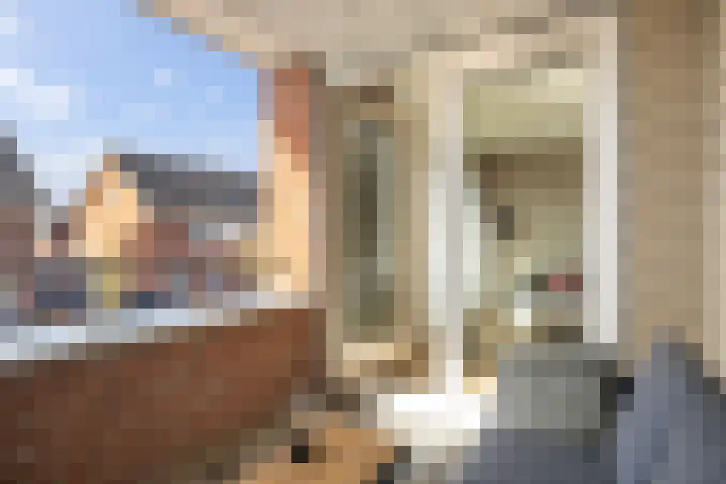 Lindenlaan 7 Woudenberg thumbnail 26