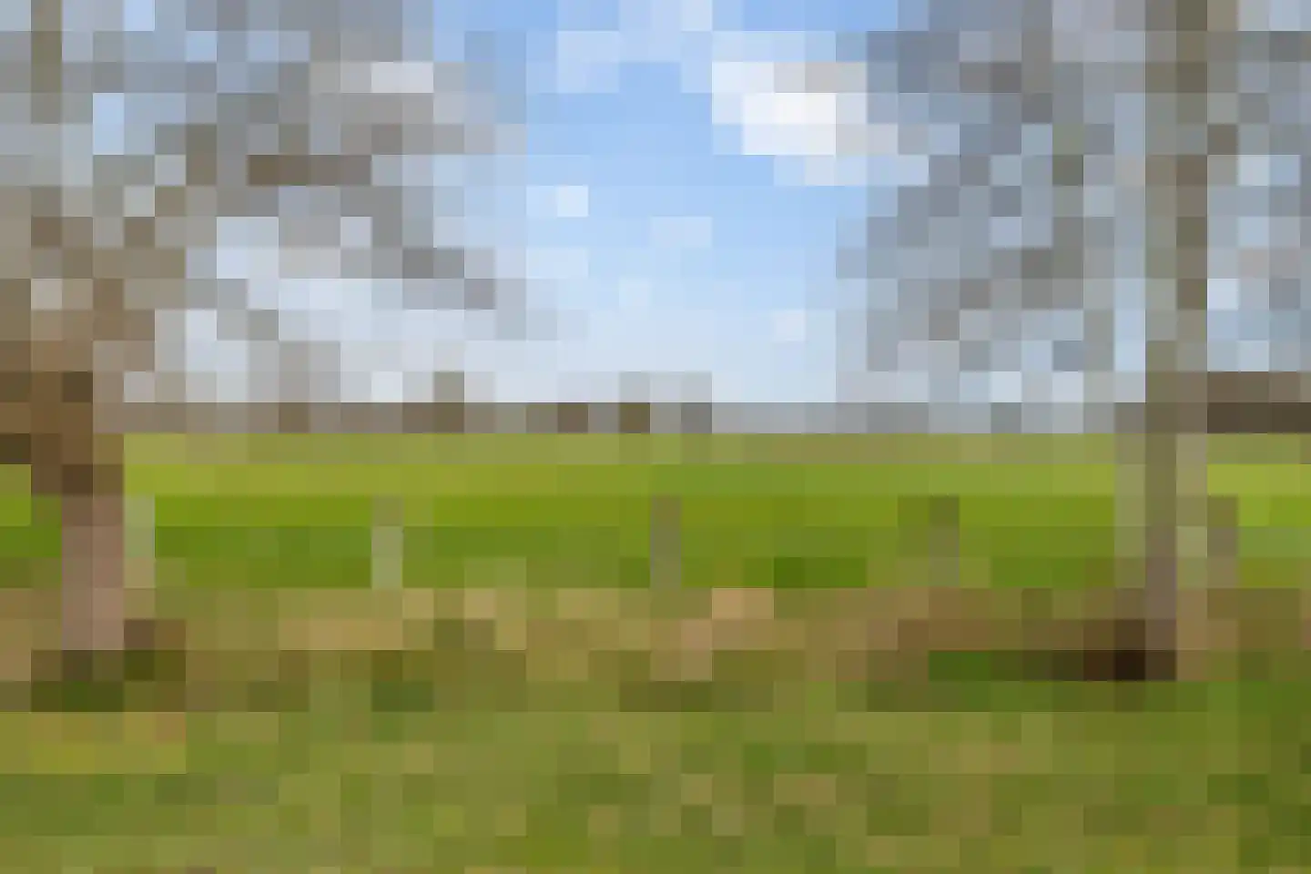 Lindenlaan 7 Woudenberg thumbnail 38