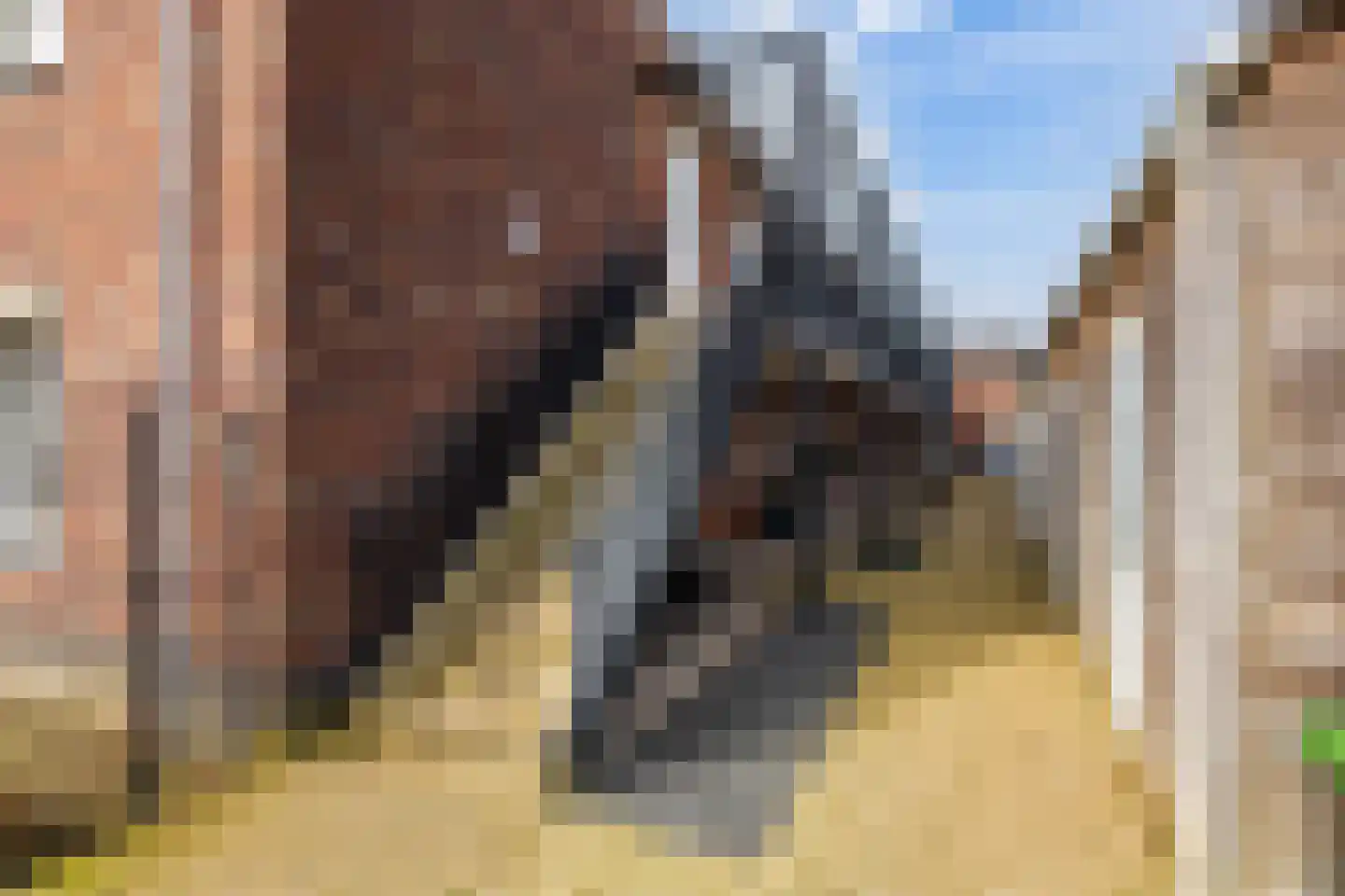 Lindenlaan 7 Woudenberg thumbnail 9