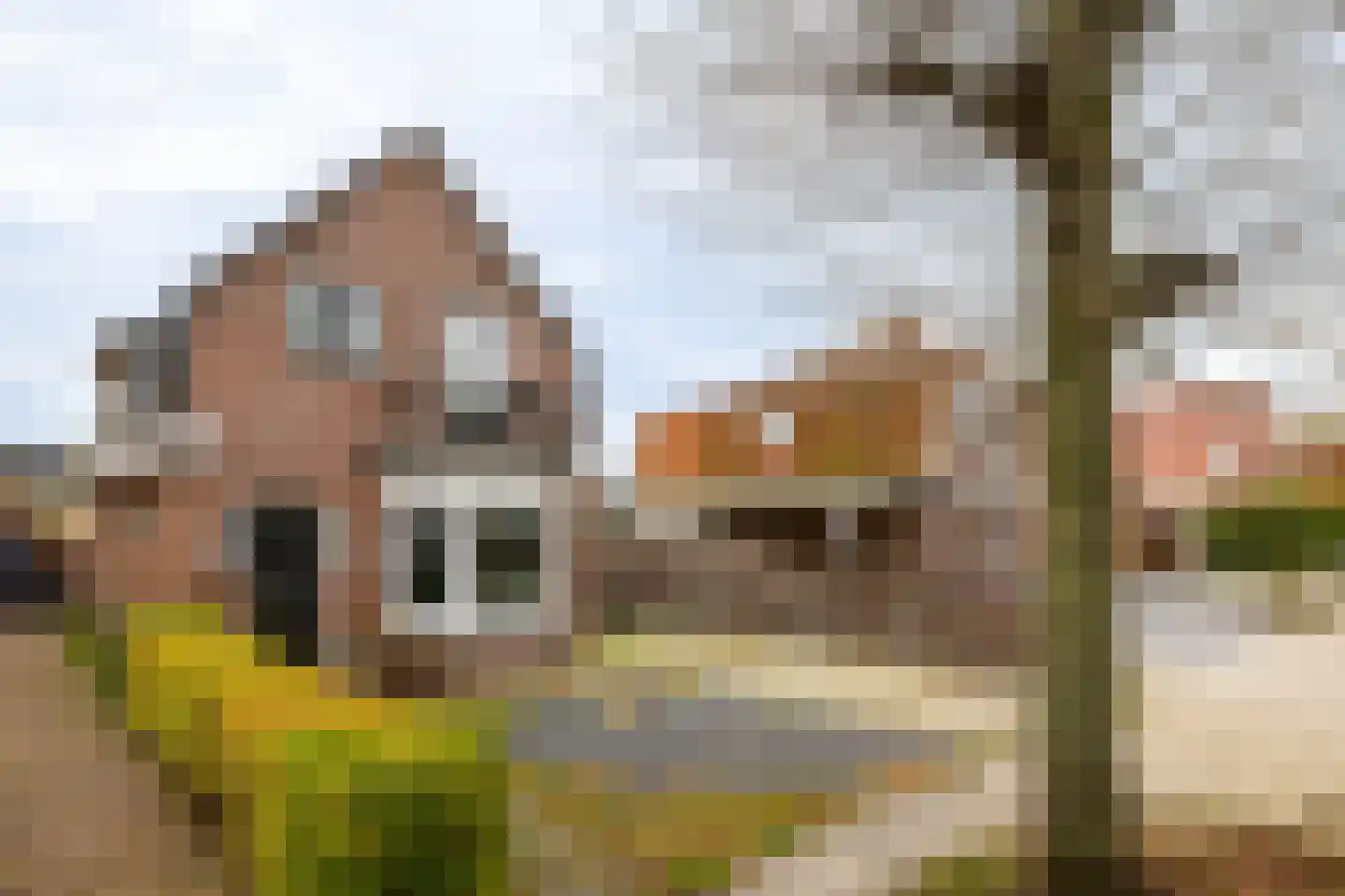 Lindenlaan 70 dans Zwanenburg