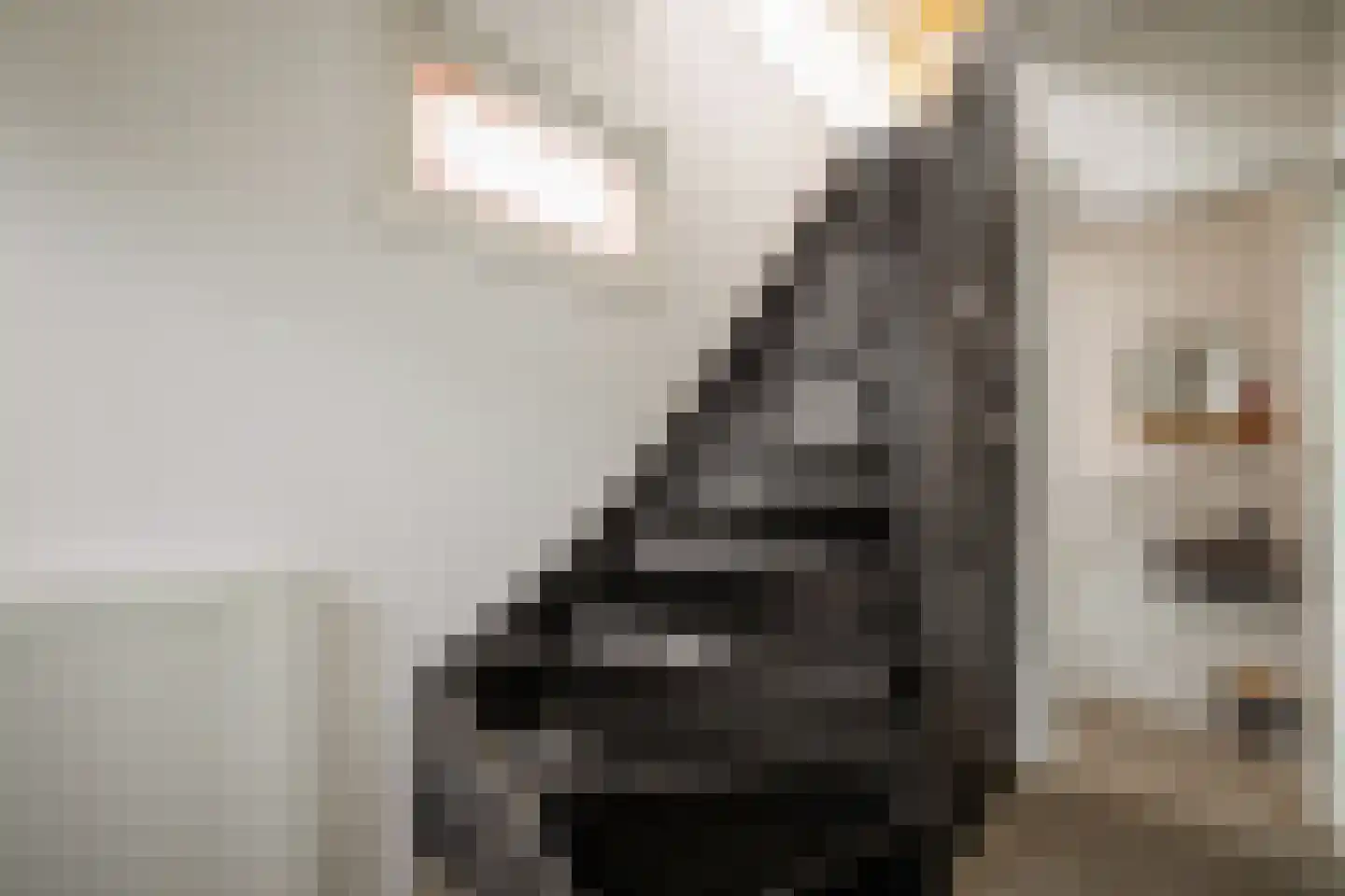 Lindenlaan 70 Zwanenburg thumbnail 14