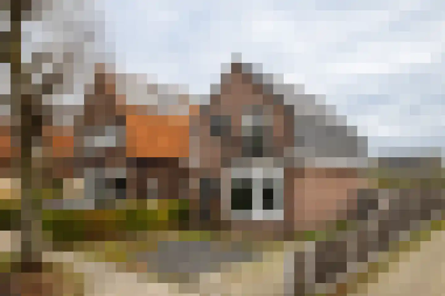 Lindenlaan 70 Zwanenburg foto 2