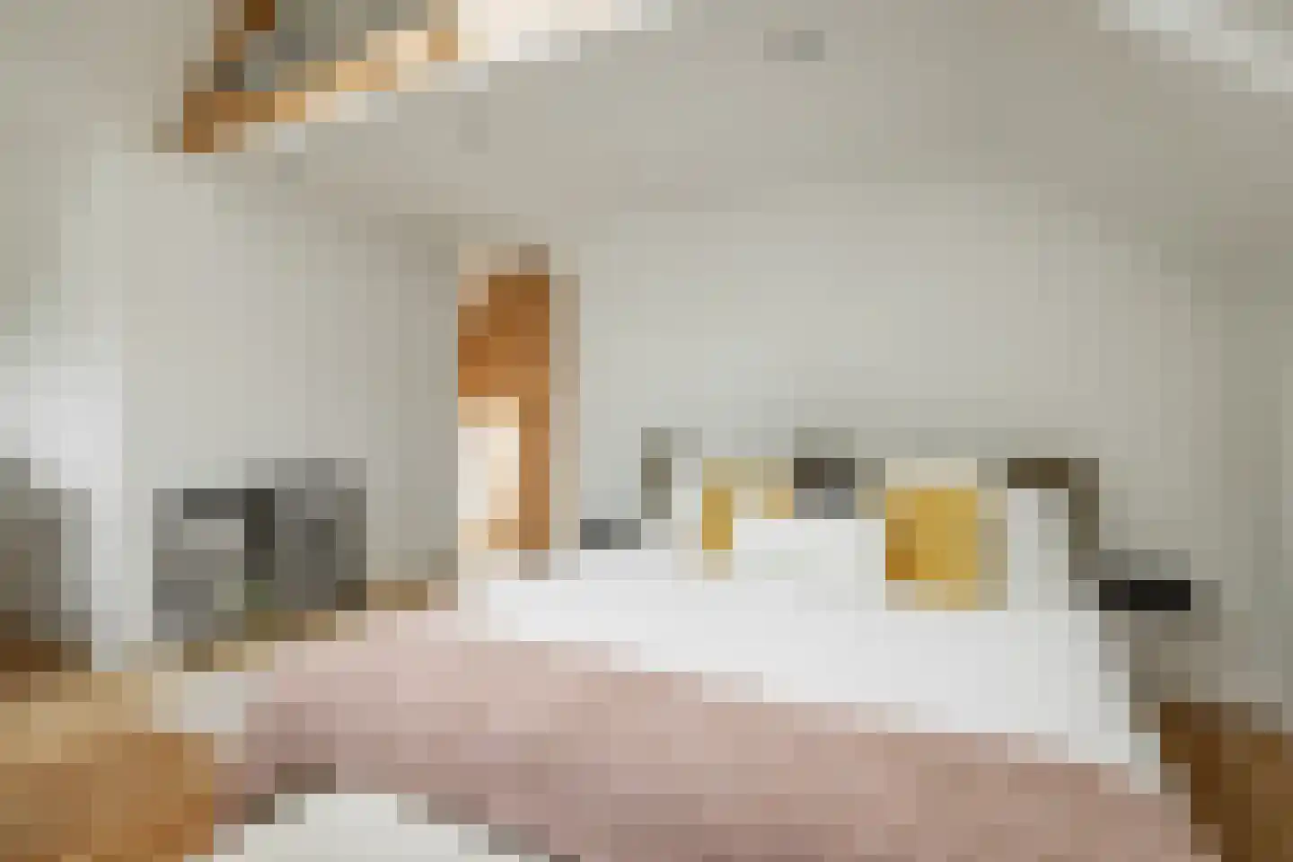 Lindenlaan 70 Zwanenburg thumbnail 23
