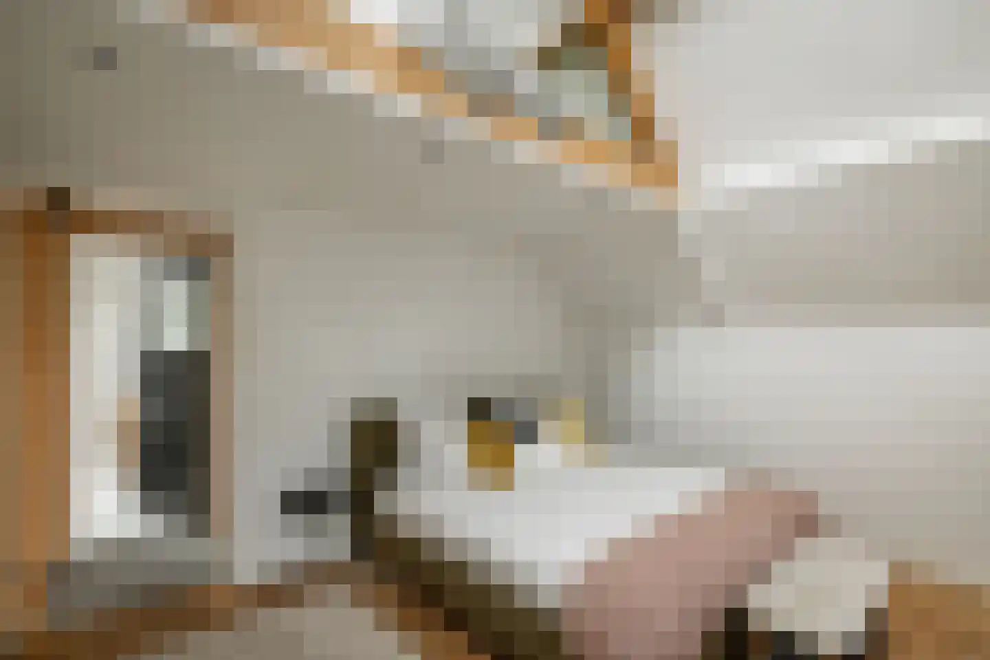 Lindenlaan 70 Zwanenburg thumbnail 24