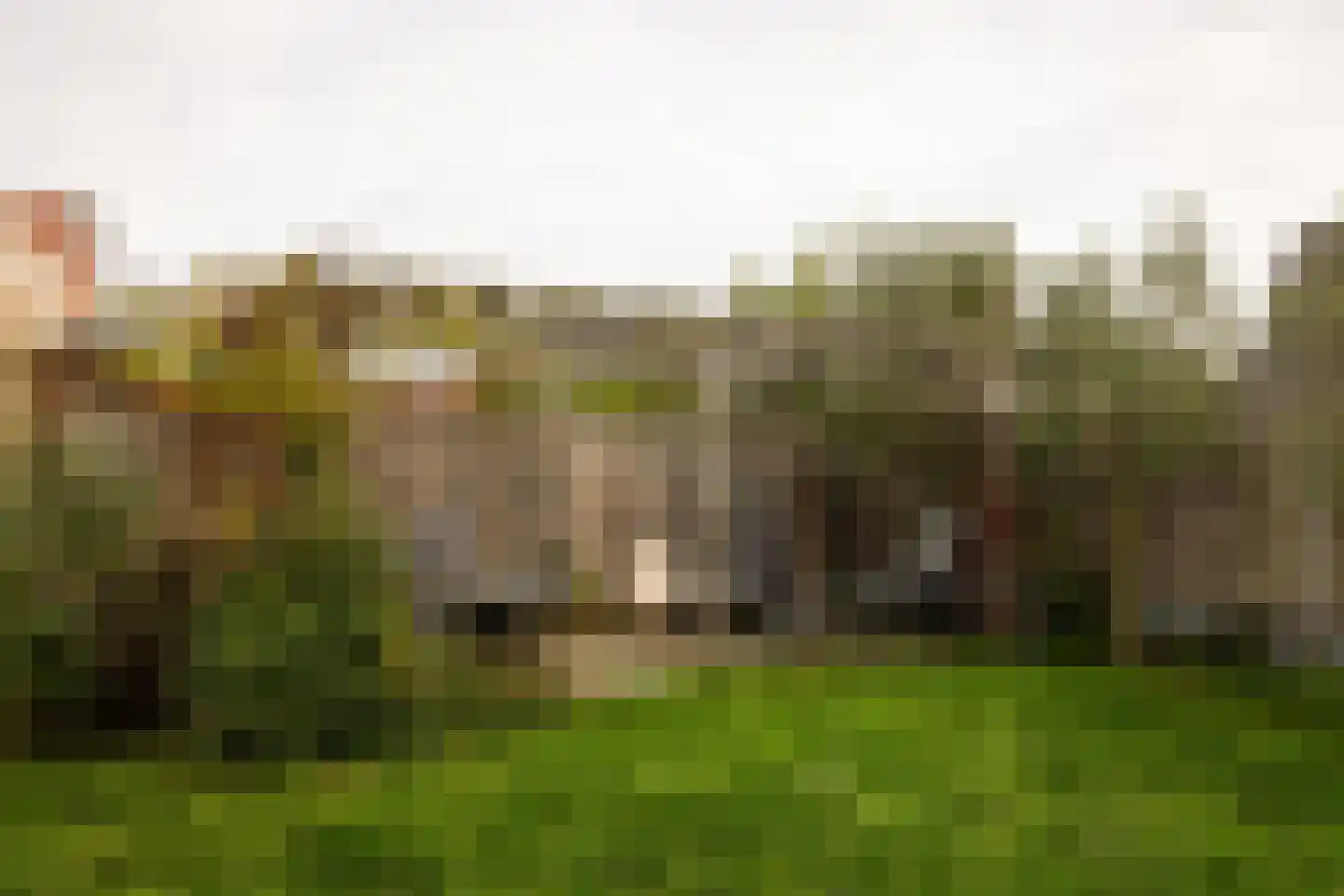 Lindenlaan 70 Zwanenburg thumbnail 28