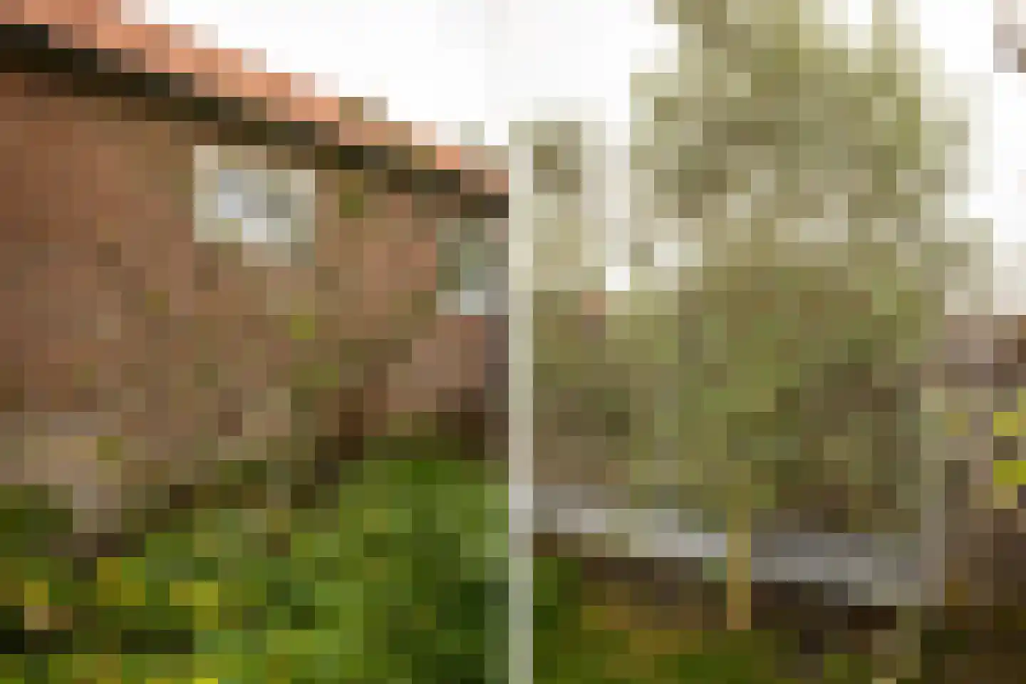 Lindenlaan 70 Zwanenburg thumbnail 29