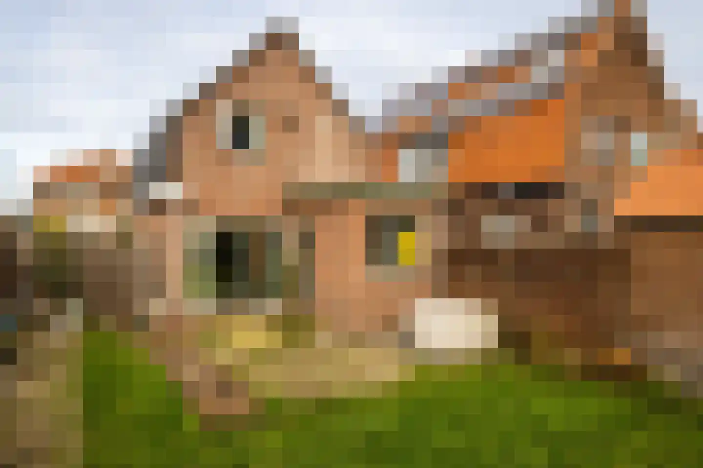 Lindenlaan 70 Zwanenburg thumbnail 31