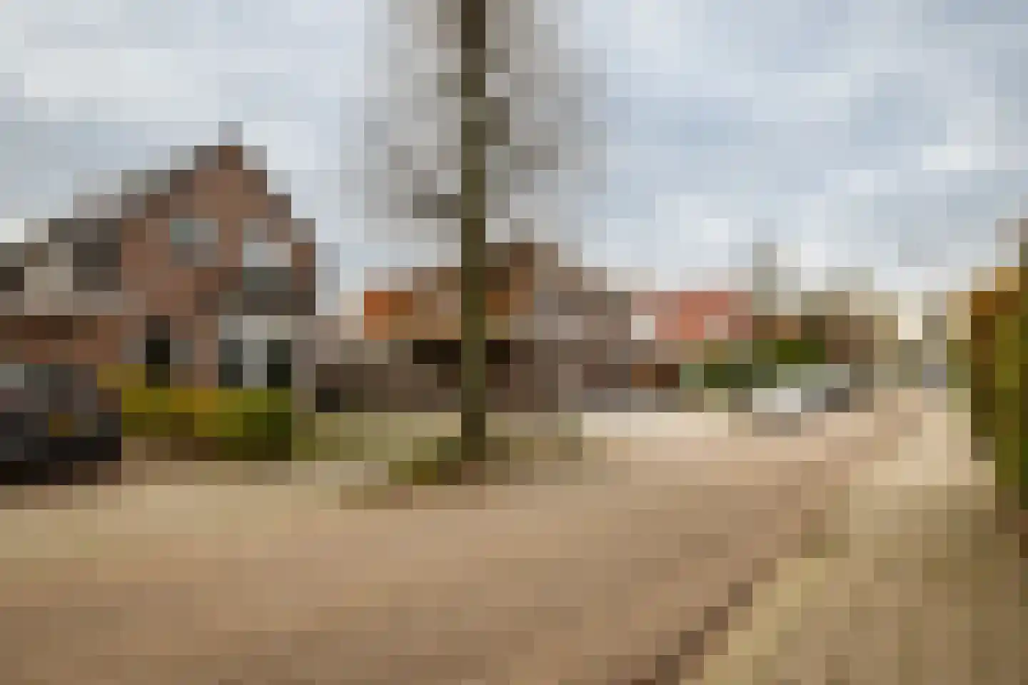 Lindenlaan 70 Zwanenburg thumbnail 32