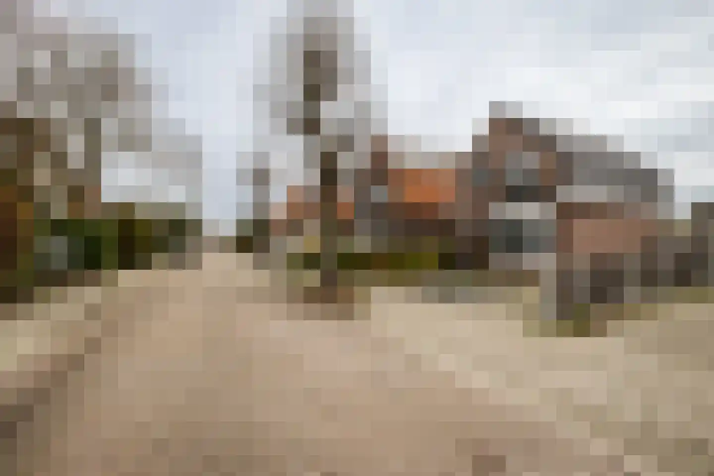 Lindenlaan 70 Zwanenburg thumbnail 33