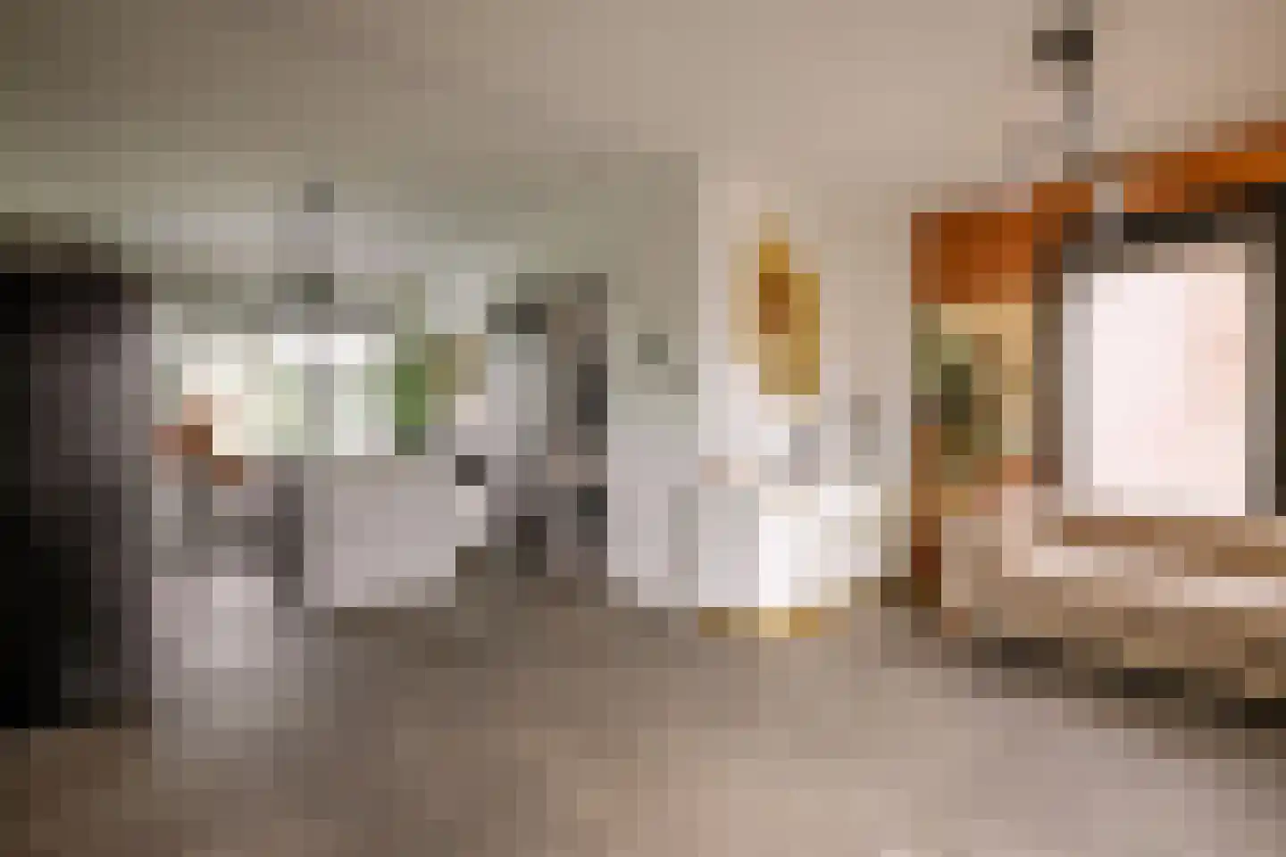 Lindenlaan 70 Zwanenburg thumbnail 6