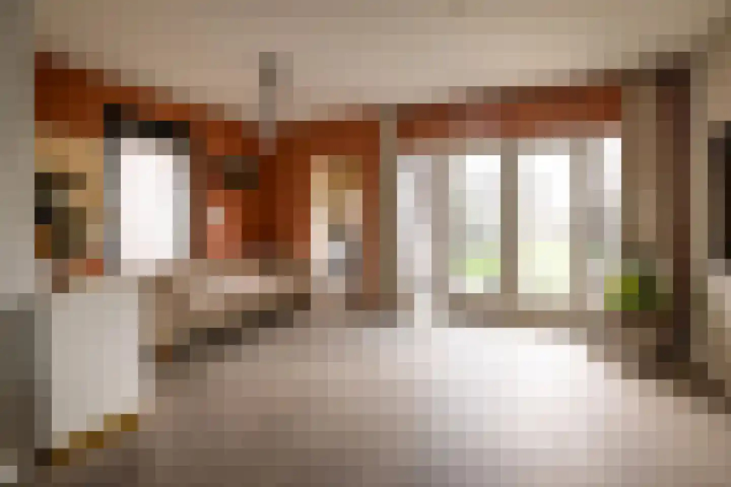 Lindenlaan 70 Zwanenburg thumbnail 7