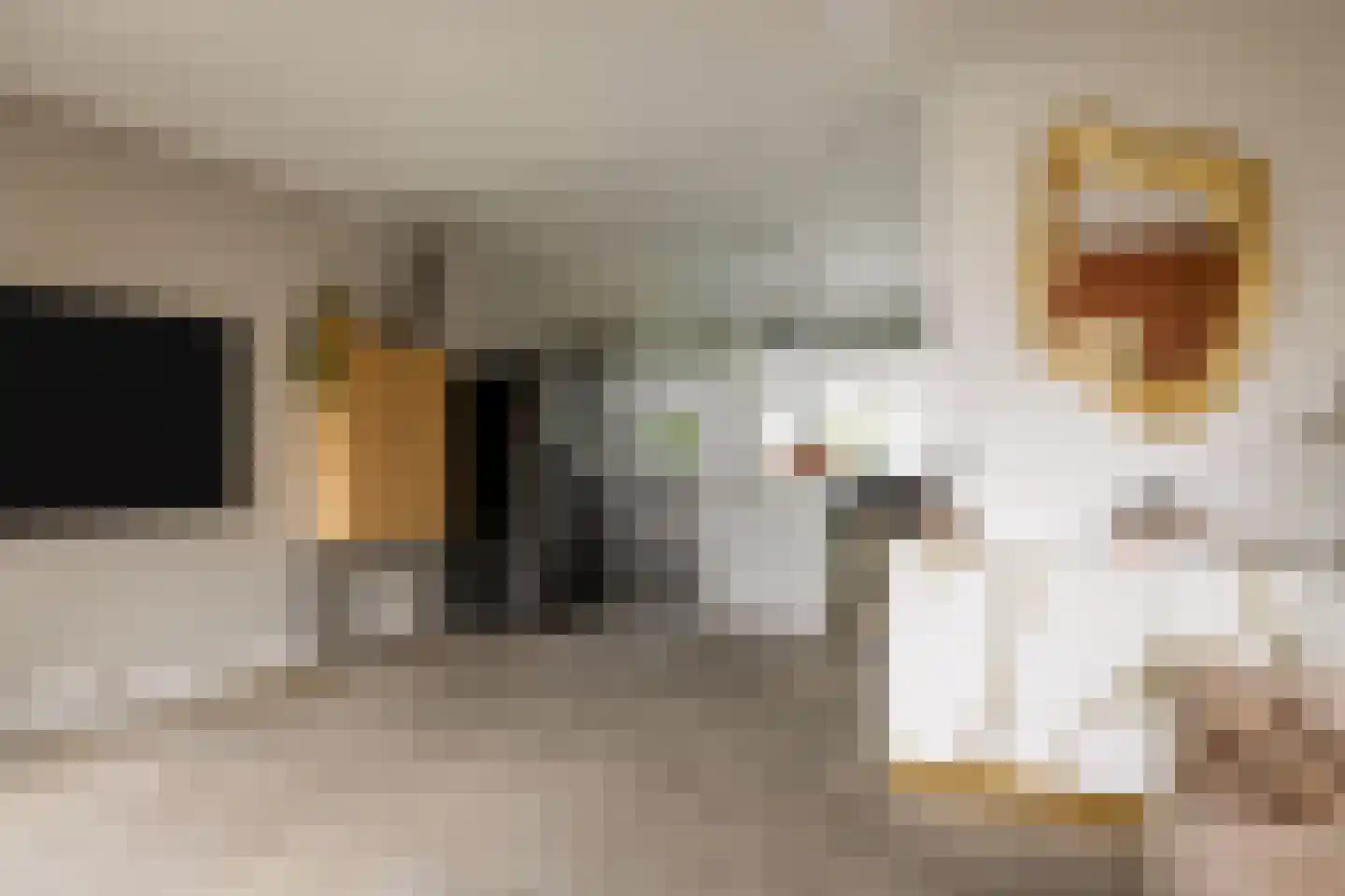 Lindenlaan 70 Zwanenburg thumbnail 9