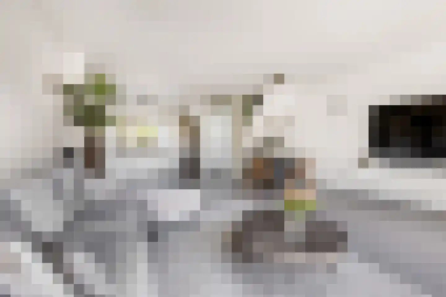 Lindenlaan 72 A Zwanenburg thumbnail 12