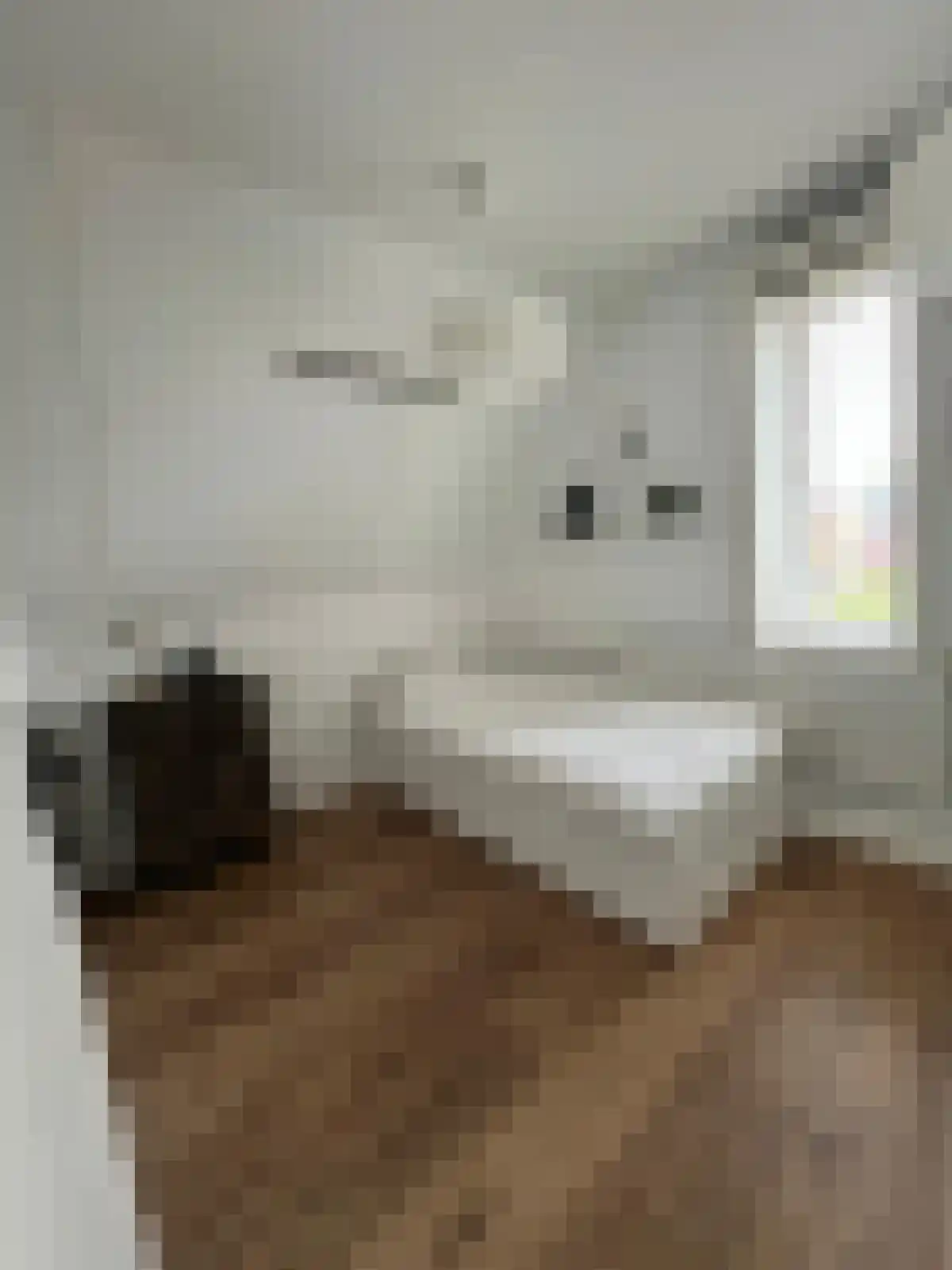 Lindenlaan 72 A Zwanenburg thumbnail 29