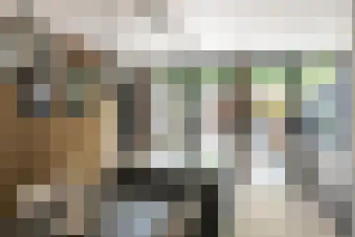 Lindenlaan 72 Alkmaar thumbnail 15