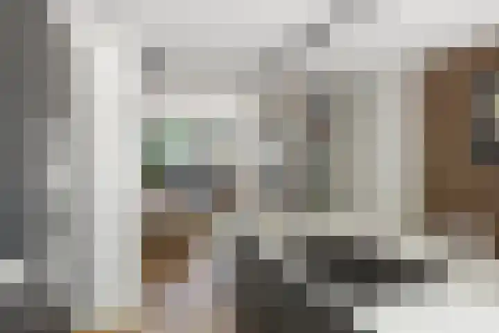Lindenlaan 72 Alkmaar thumbnail 19