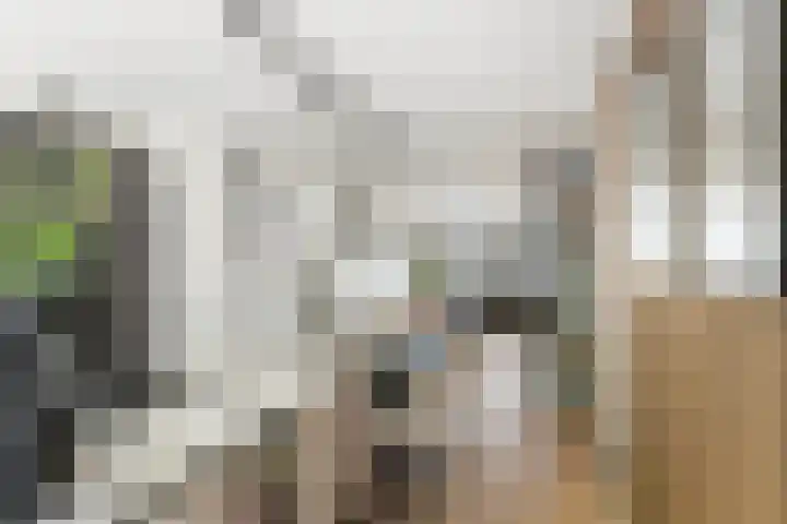 Lindenlaan 72 Alkmaar thumbnail 20