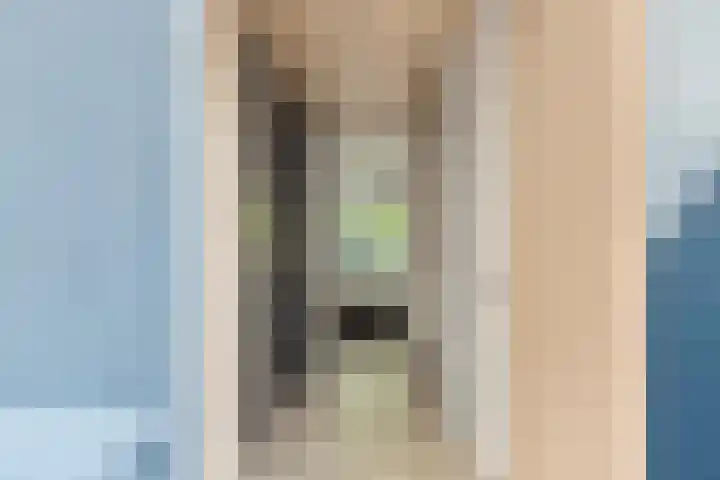 Lindenlaan 72 Alkmaar thumbnail 24