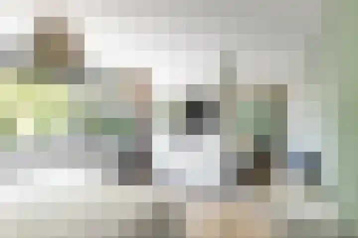Lindenlaan 72 Alkmaar thumbnail 28