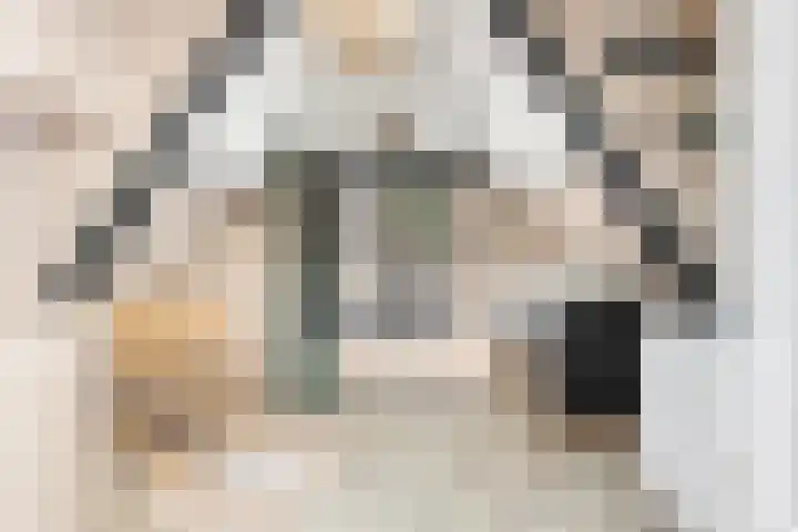 Lindenlaan 72 Alkmaar thumbnail 31